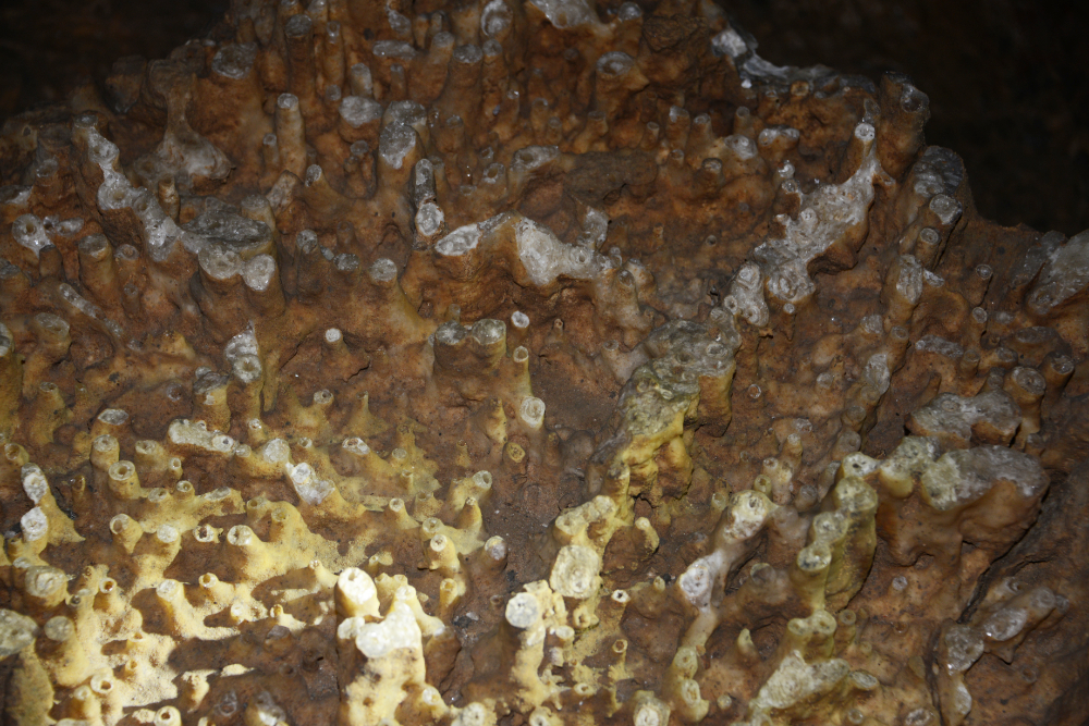 Cathedral Caverns Straw Formations