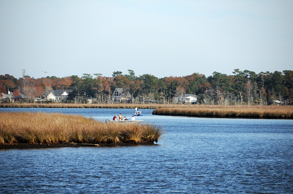 Fishing in the wetlands along the Alabama Gulf Coast