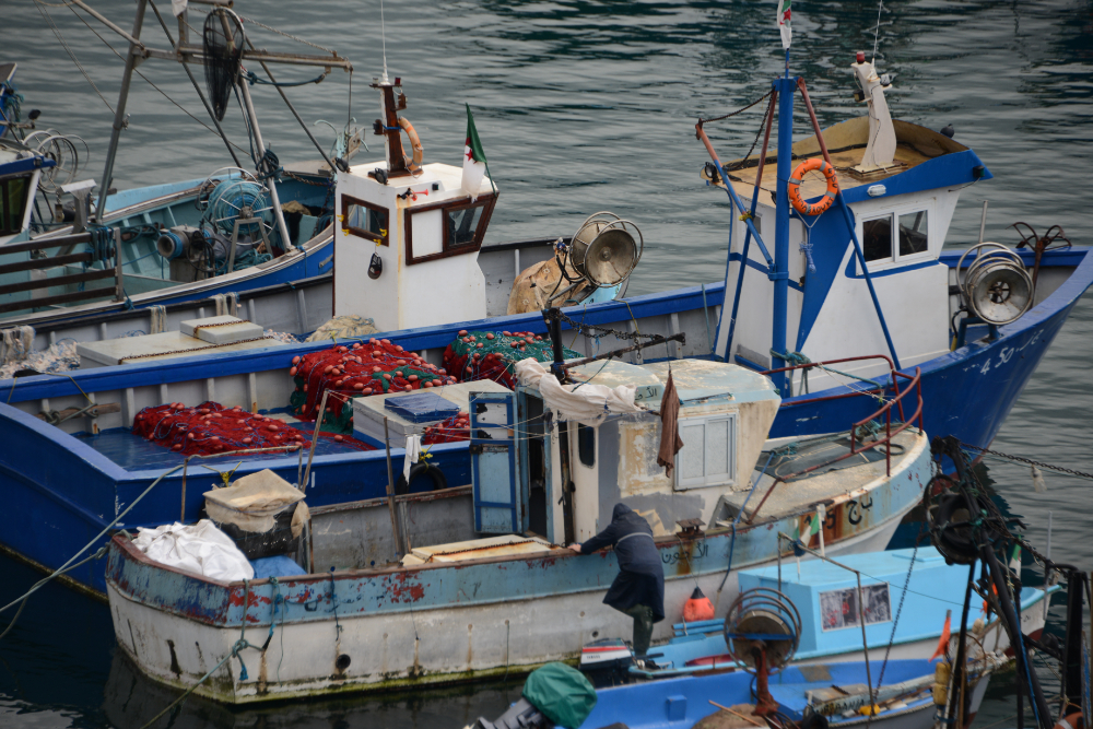 Fishing boats in Algiers harbor