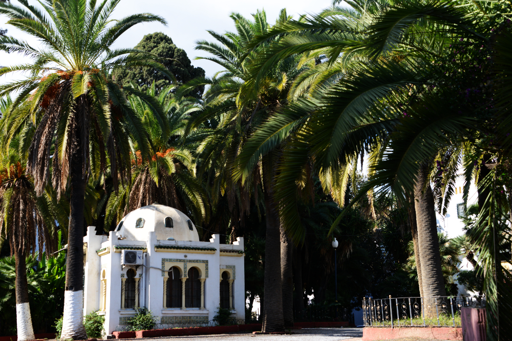 Park and palm trees in Algiers