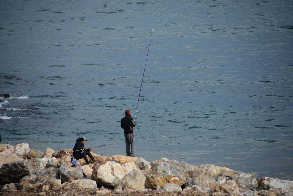 Fishermen along the waterfront in Algiers
