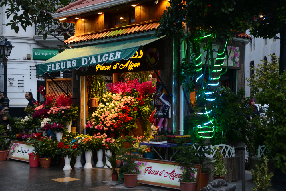 Flower shop along a pedestrian street in Algiers