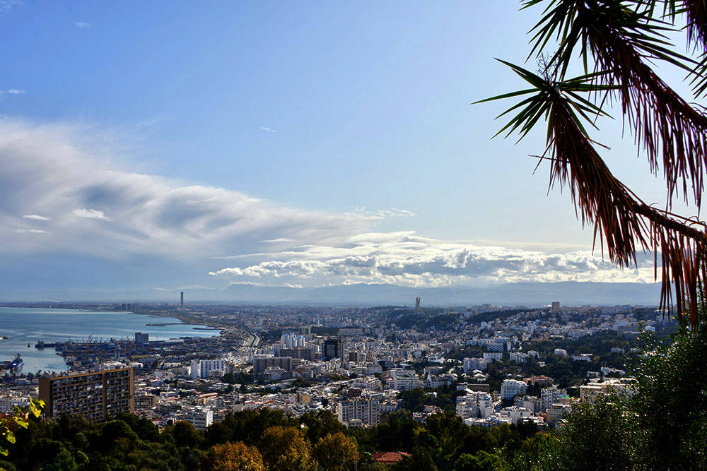 View across the city of Algiers