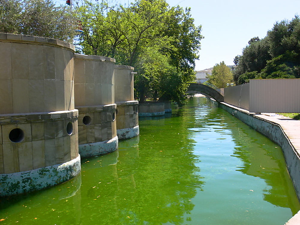 Green waterway near the Caspian Sea in Azerbaijan