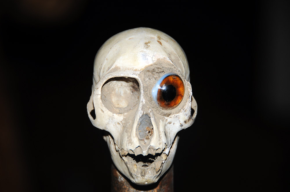 Dark skull-themed contemporary artwork in a Cotonou gallery