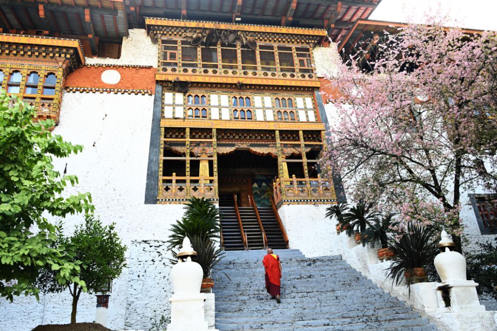 Entrance staircase into Punakha Dzong in Bhutan
