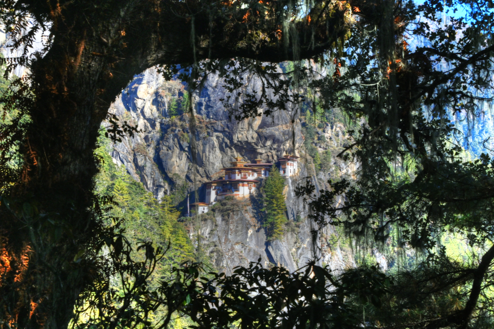 Mountain view through the forest on the Tiger's Nest hiking trail