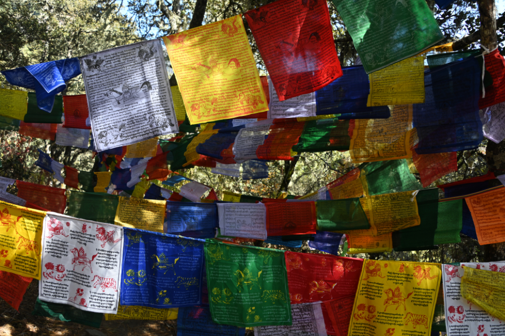 Prayer flags hanging over the hiking trail to Tiger's Nest Monastery