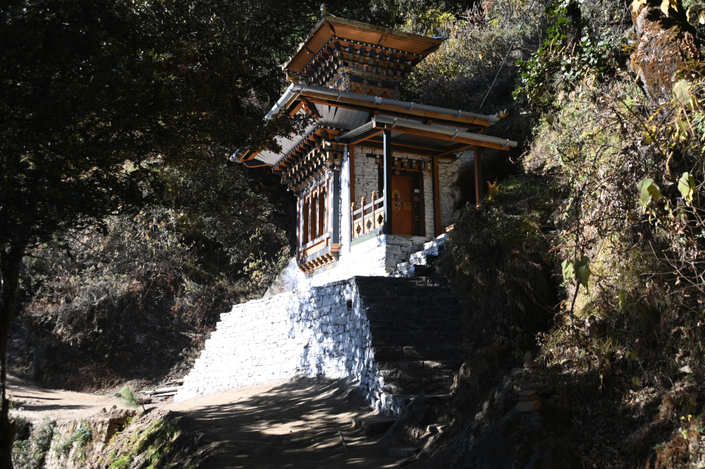 Forest hiking trail leading toward Tiger's Nest Monastery in Paro