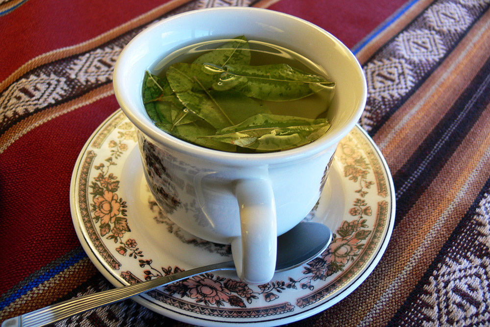 Coca tea in La Paz, Bolivia