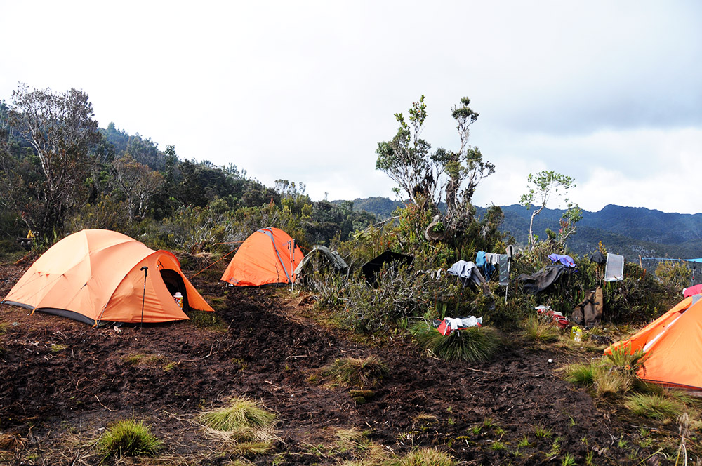 Camp III during the Carstensz Pyramid expedition