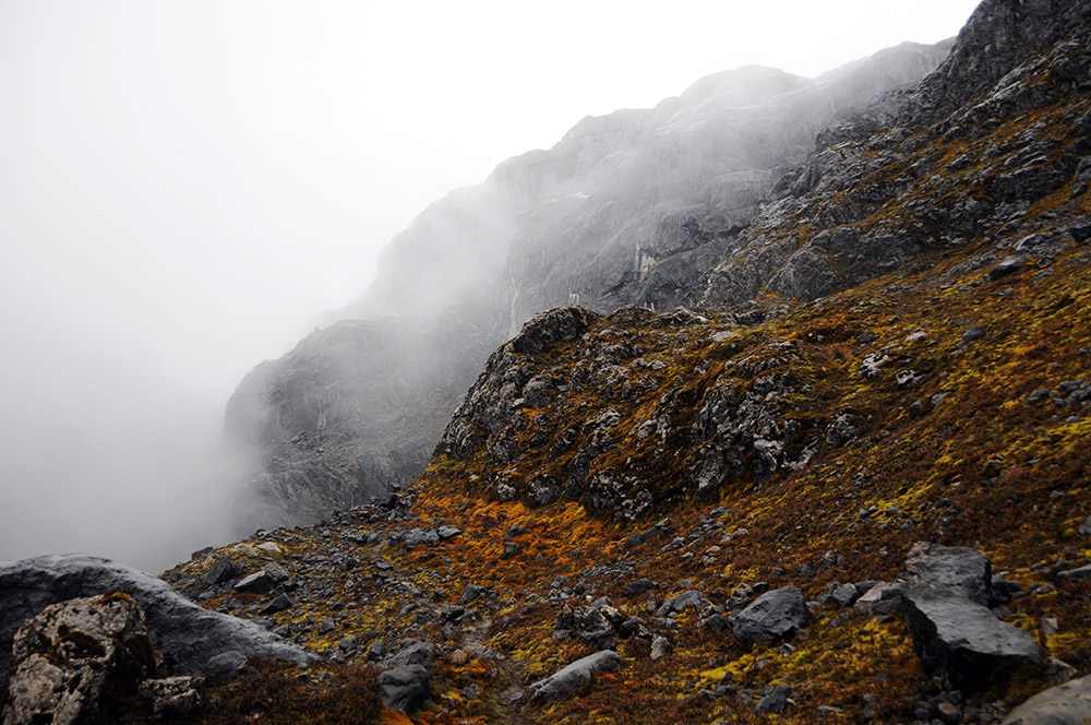 Moss-covered rocky terrain in the Carstensz Pyramid highlands