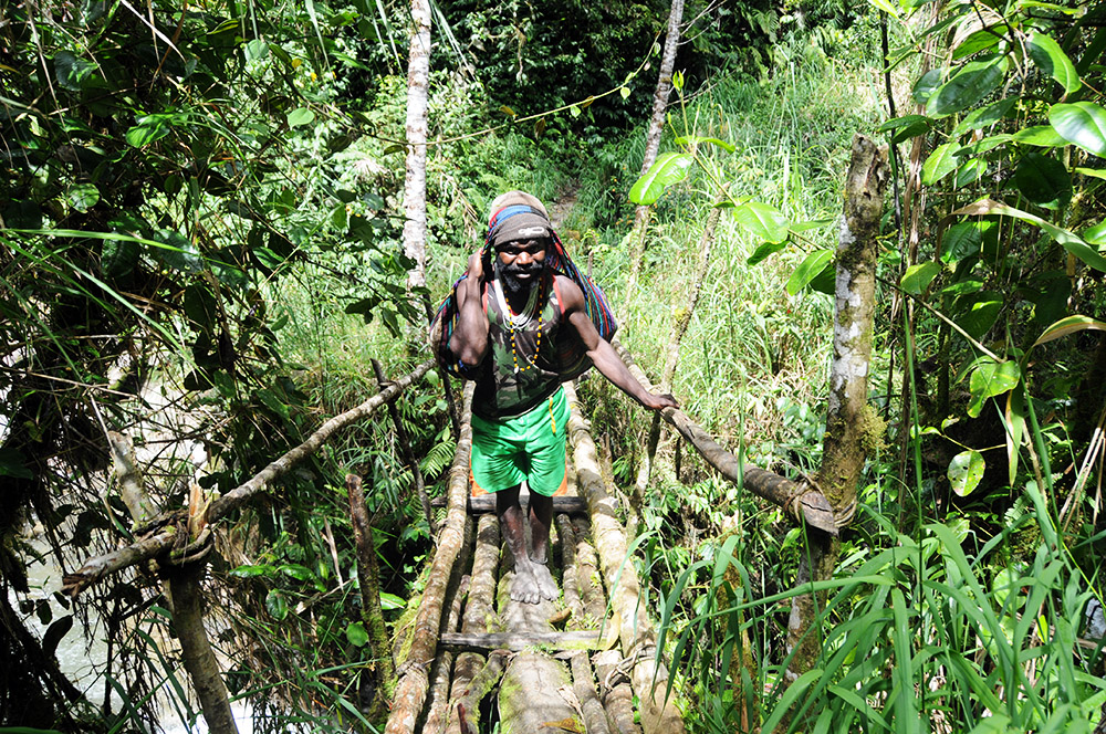Porter crossing a jungle bridge on the trek to Carstensz Pyramid