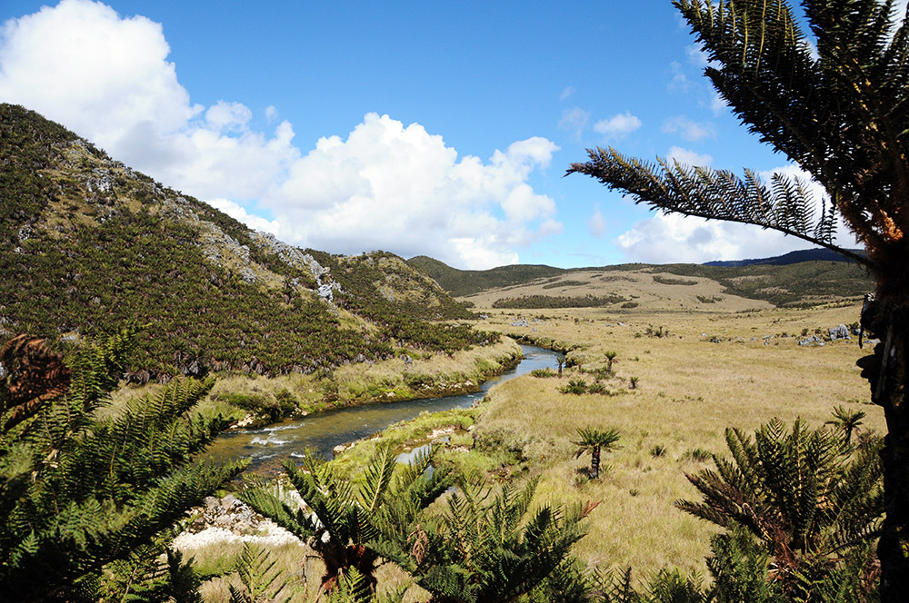 Highland river beneath rare blue skies near Carstensz Pyramid