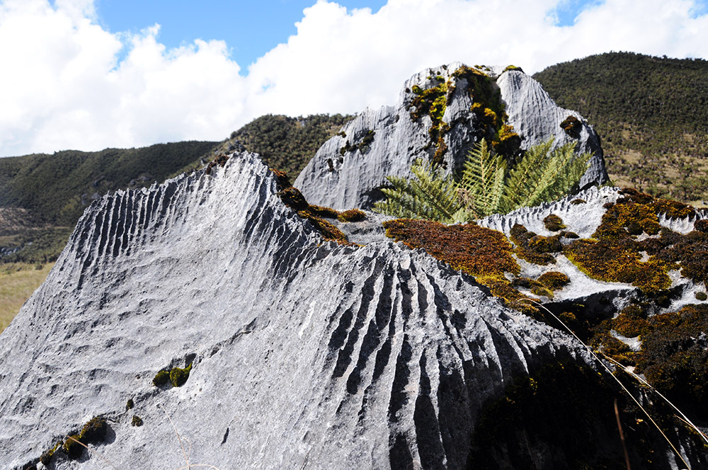 Sharp rock formations in the Carstensz Pyramid highlands