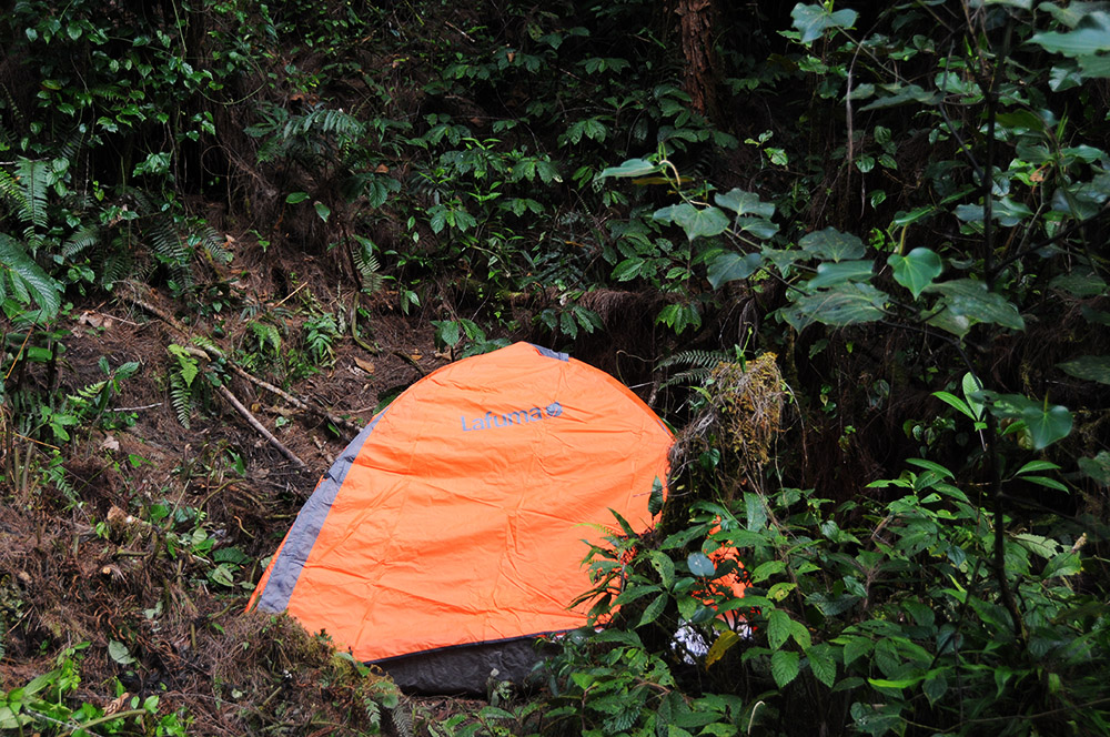 Tent at Camp I during the Carstensz Pyramid rainforest trek