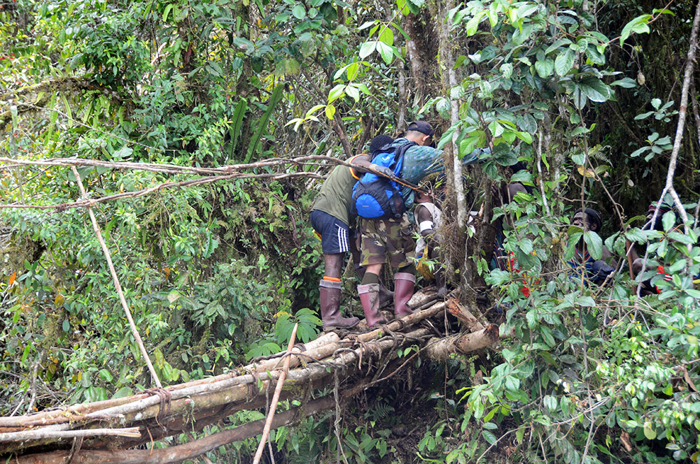 Roadblock during the rainforest trek to Carstensz Pyramid