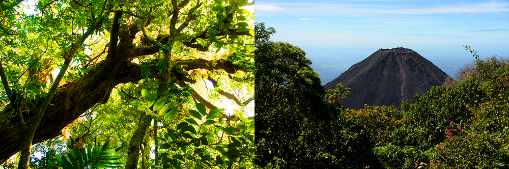 Cerro Verde and the volcanic landscape of El Salvador