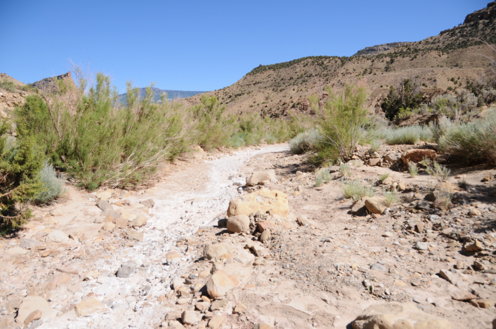 Dry creek in western Colorado