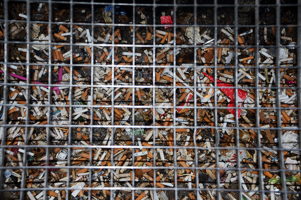 Cigarette butts and gum along a street in Brno