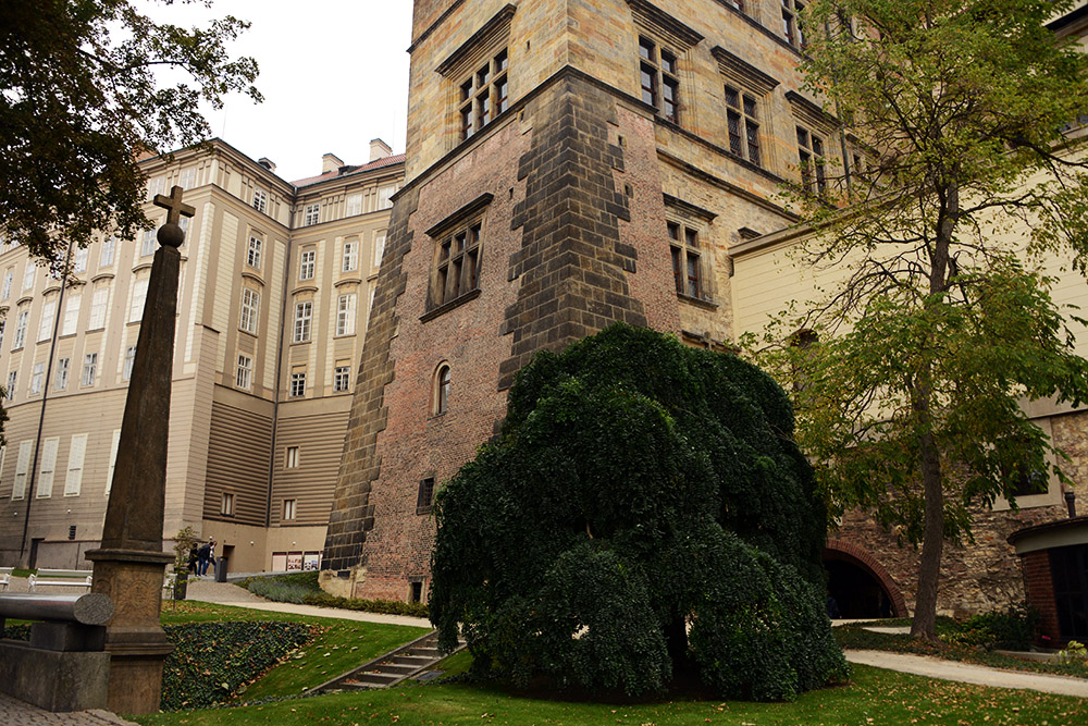 Wall at Prague Castle