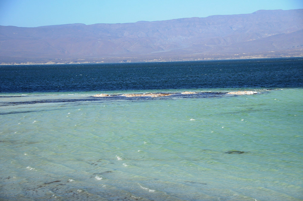 Green-colored water along the shoreline of Lake Assal in Djibouti