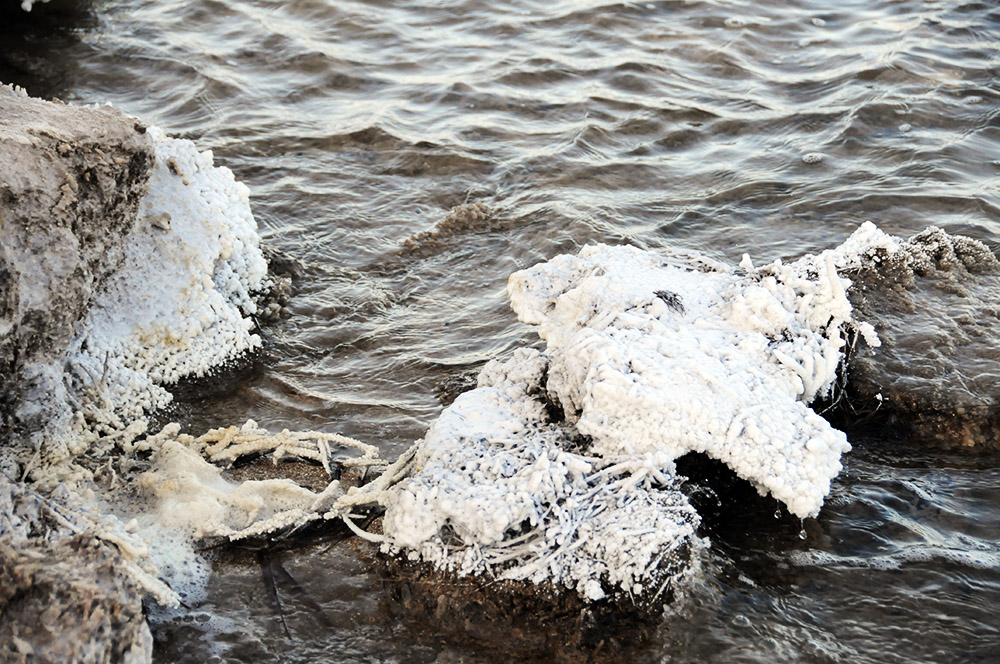 White salt-covered shoreline beside the turquoise water of Lake Assal