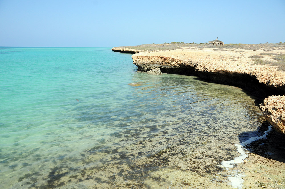 Coral shoreline and clear water of Moucha Island