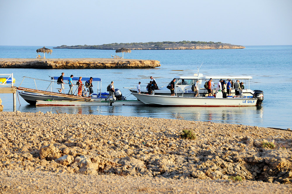 Boat trip to the Moucha Islands in Djibouti