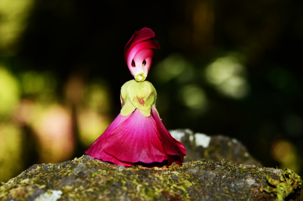 Flower ballerina made at Cerro Verde