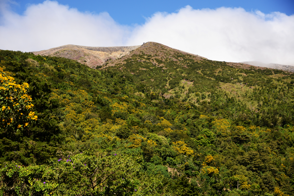 Summit of Cerro Verde emerging from the clouds