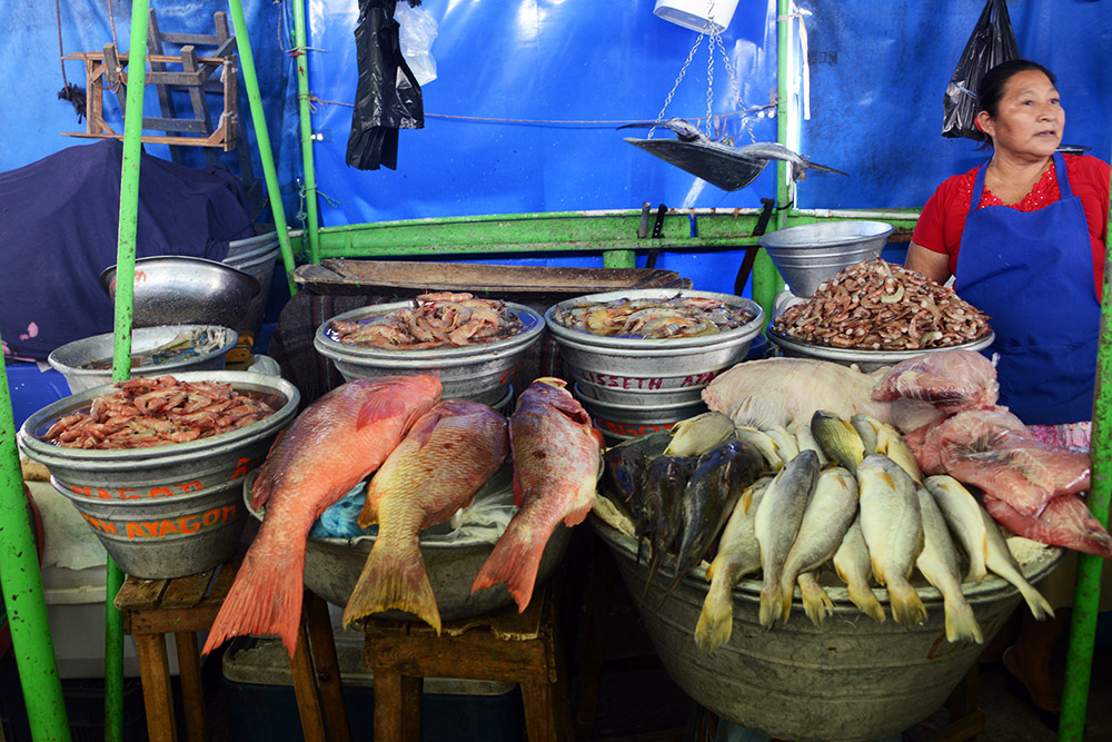 Fish for sale at La Libertad market