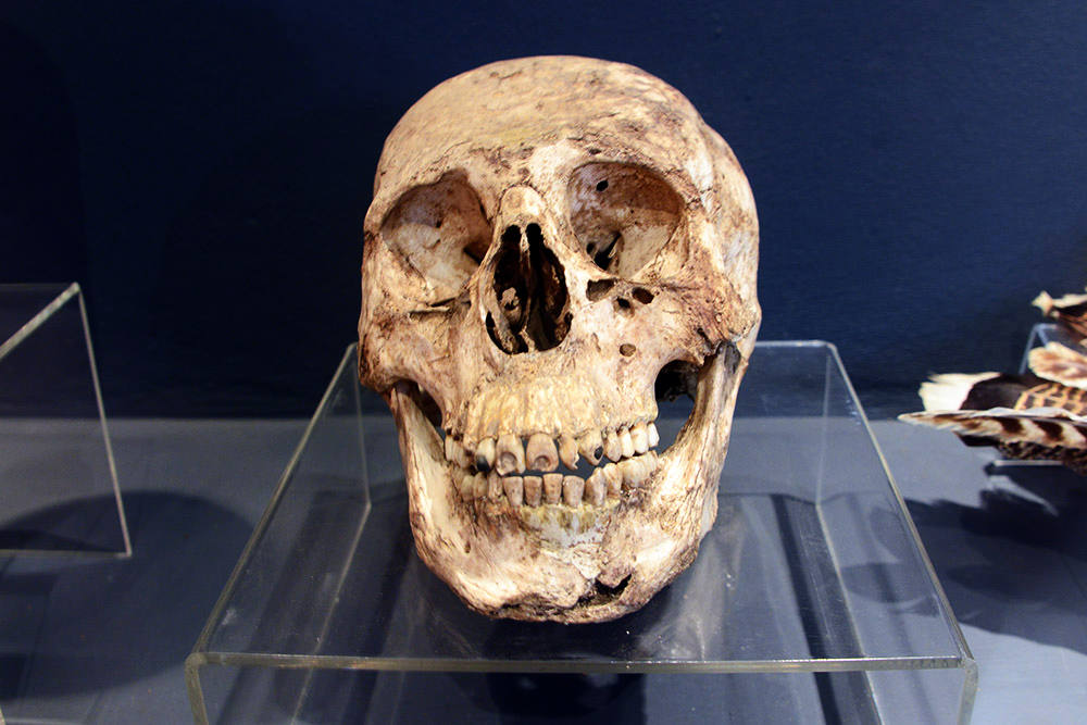 El Salvador San Andres Skull