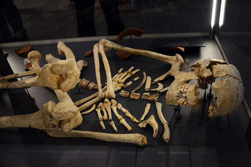 Ancient Remains Ancient human remains displayed at the Stonehenge museum