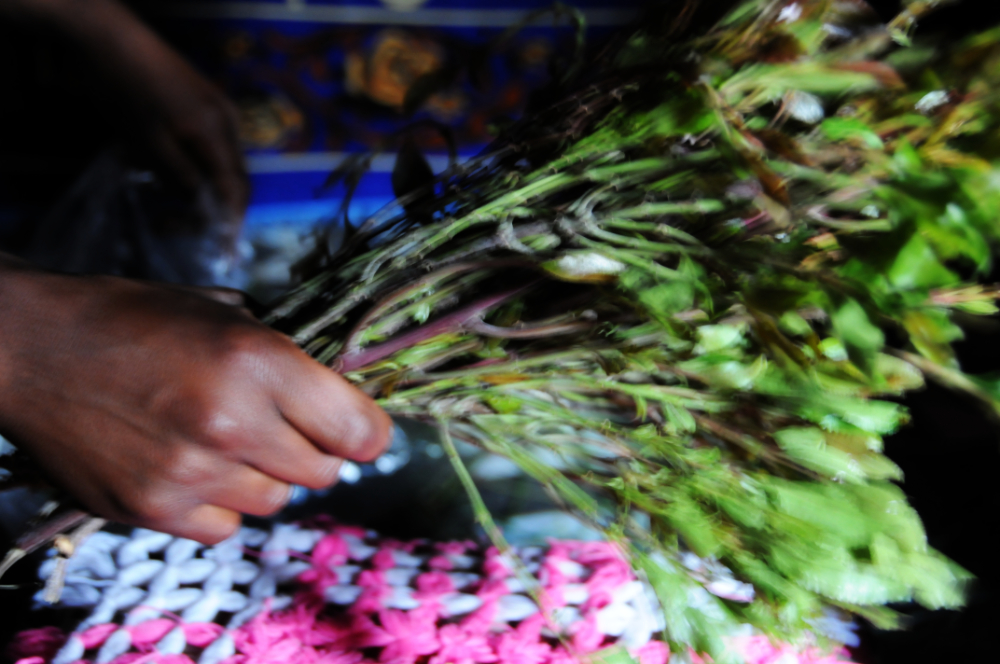 Khat leaves in Addis Ababa