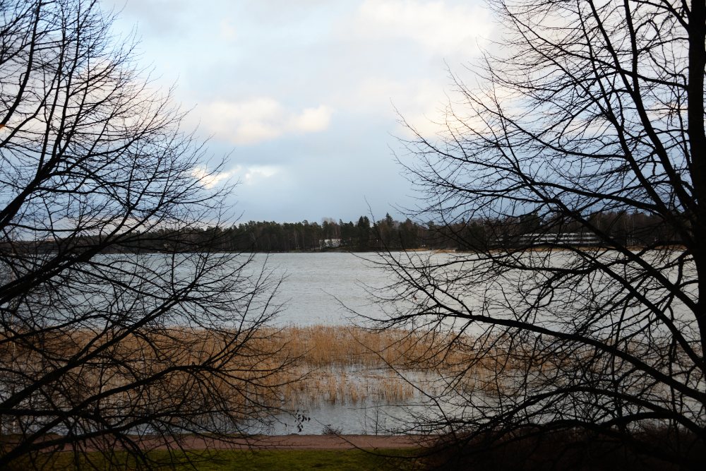 Coastal scenery around Espoo near Helsinki, Finland