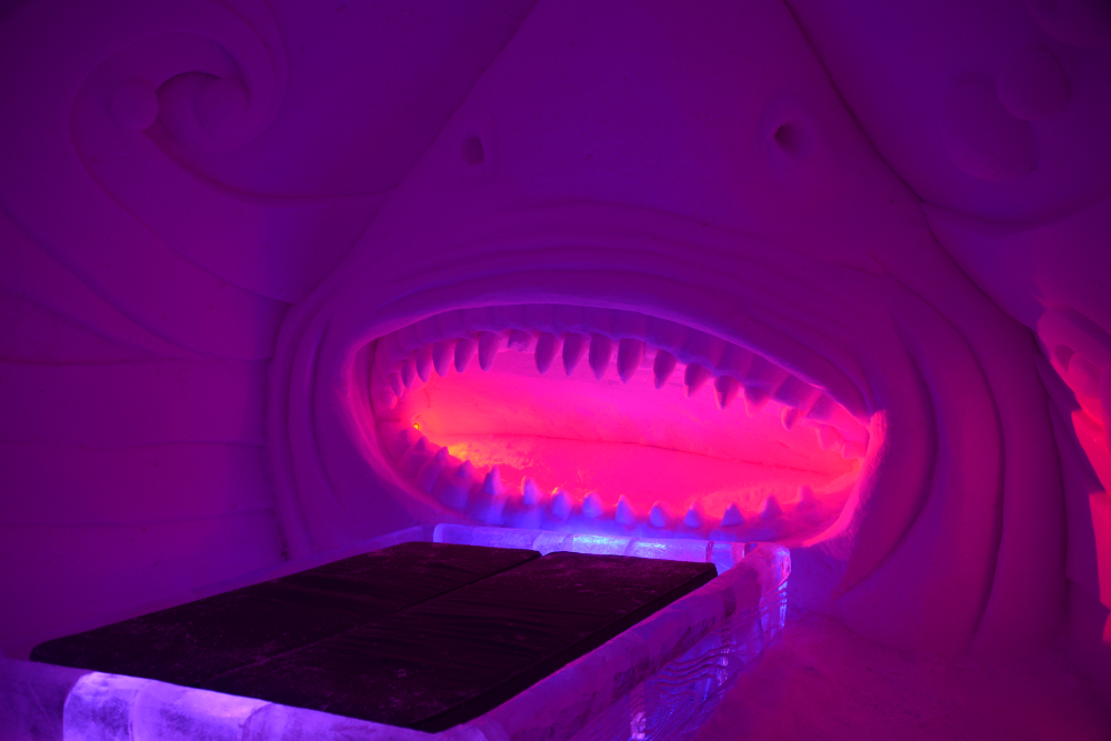 Finland Ice Hotel Village Shark Room
