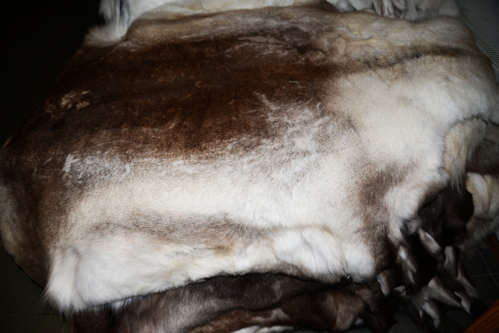 Finland Rovaniemi Christmas Village Reindeer Skins