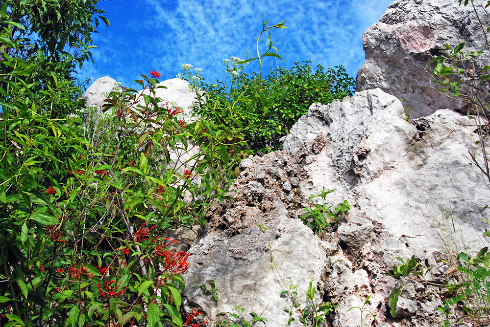 Haiti Natural Beauty