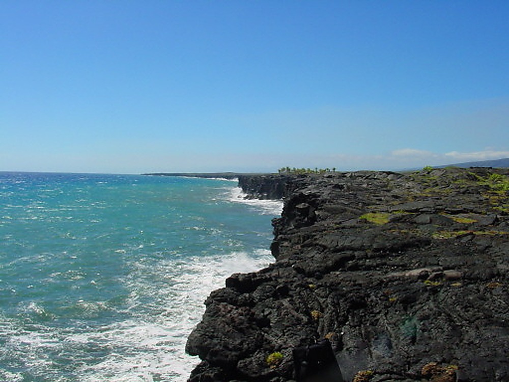 Hawaii Lava Palm Beach