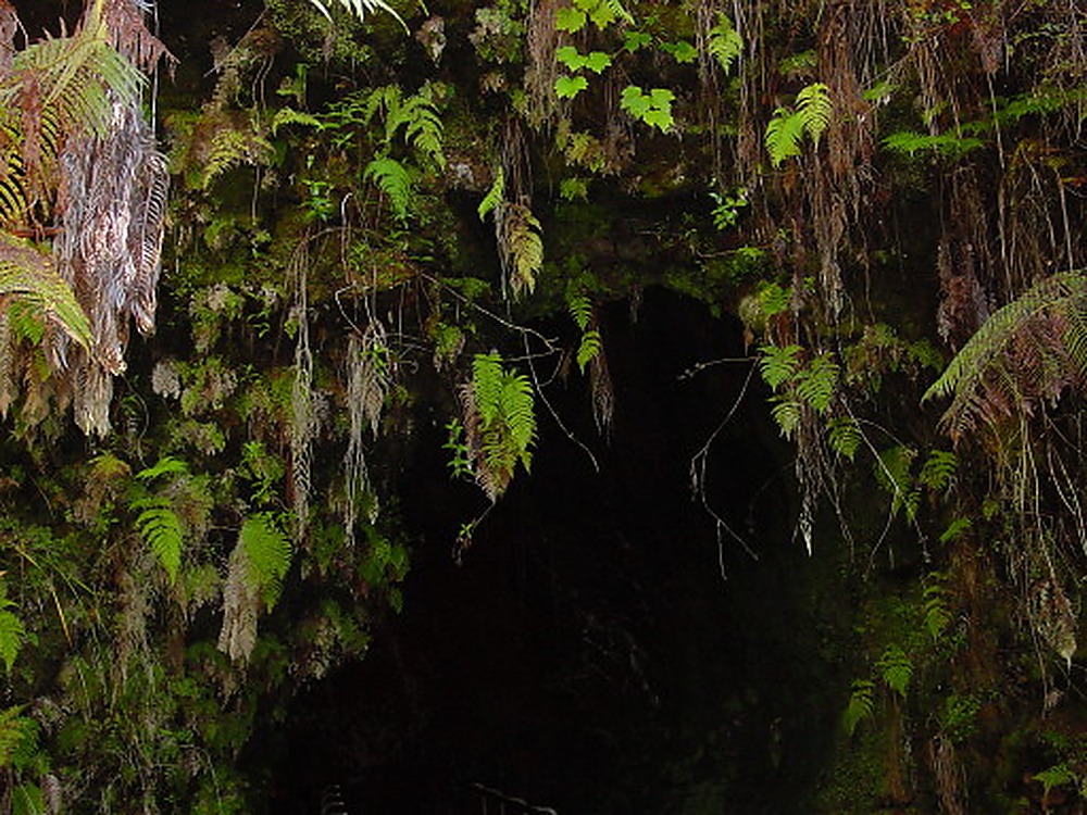 Hawaii Lava Cave Entrance