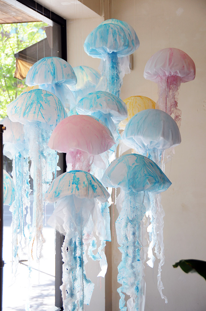 Jelly Fish Idaho Boise Jelly Fish