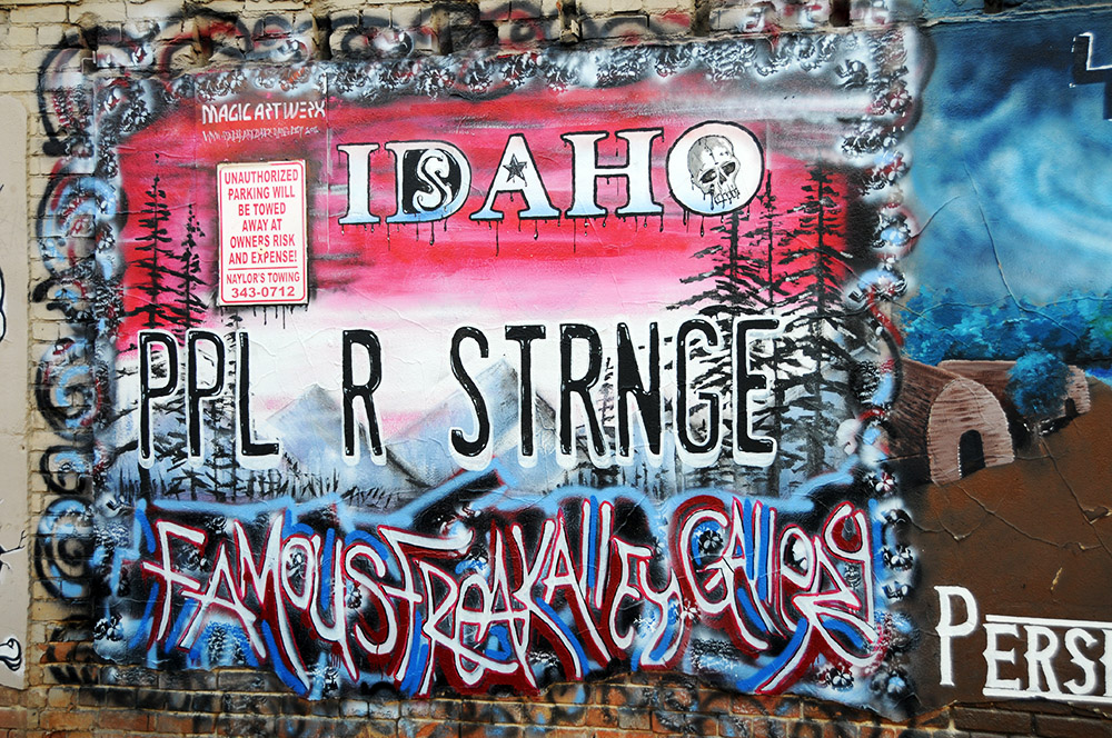 Alley Graffiti Idaho Boise City Graffiti
