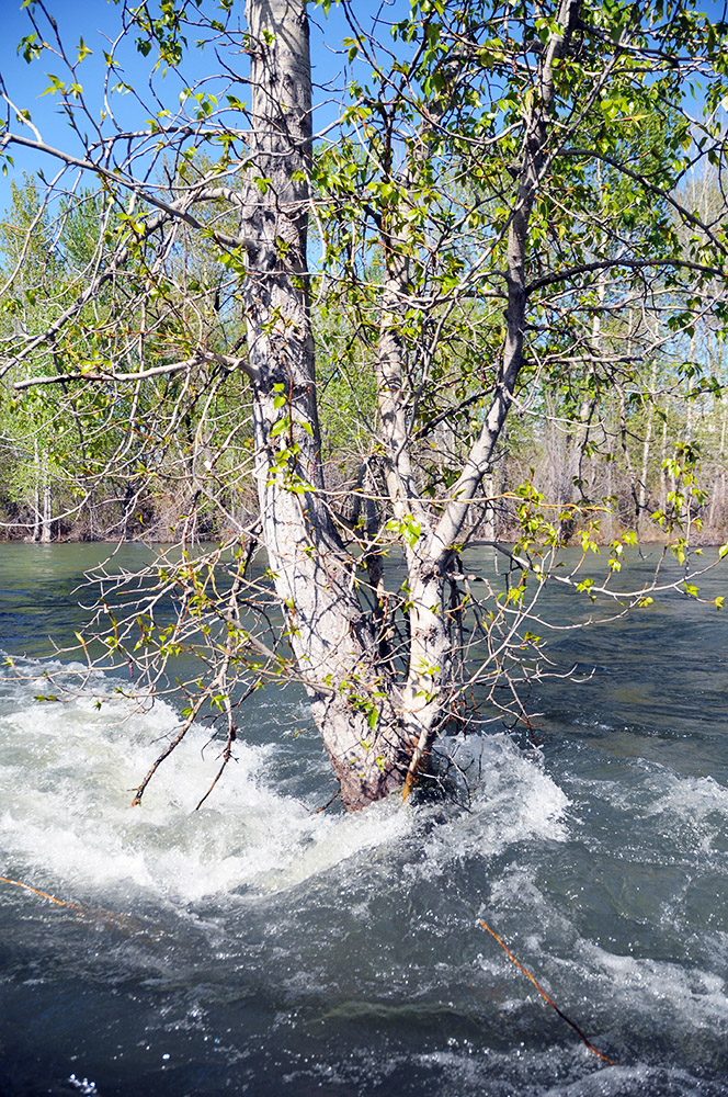 Snake River Idaho Boise Snake River