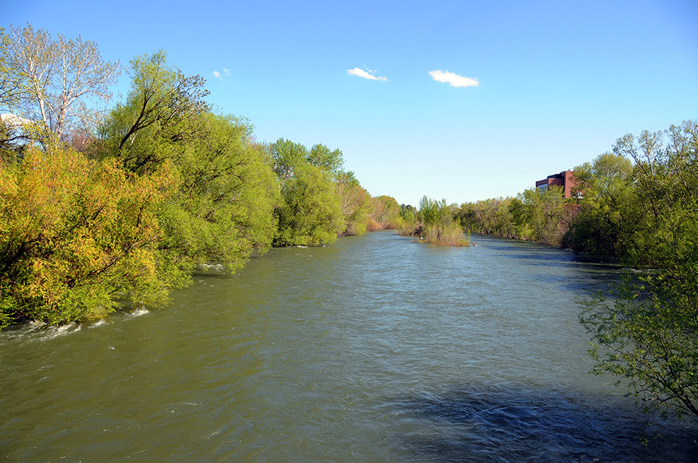 Snake River Idaho Boise Snake River