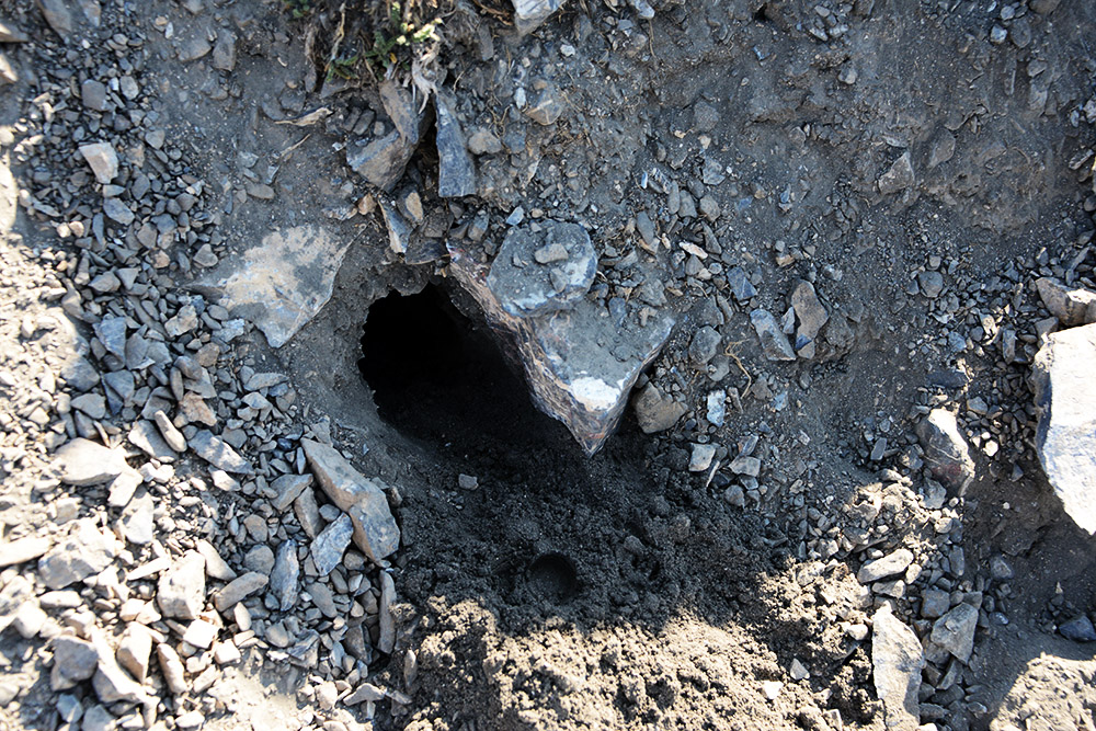 Idaho Borah Peak Animal Hole