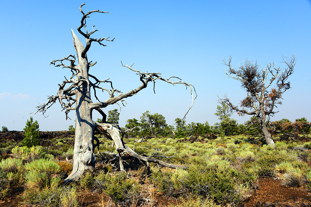 Idaho Craters of the Moon Landscape