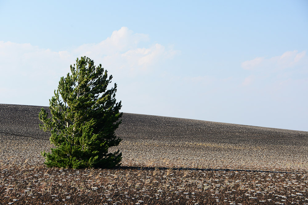 Idaho Lava Chocolate Field
