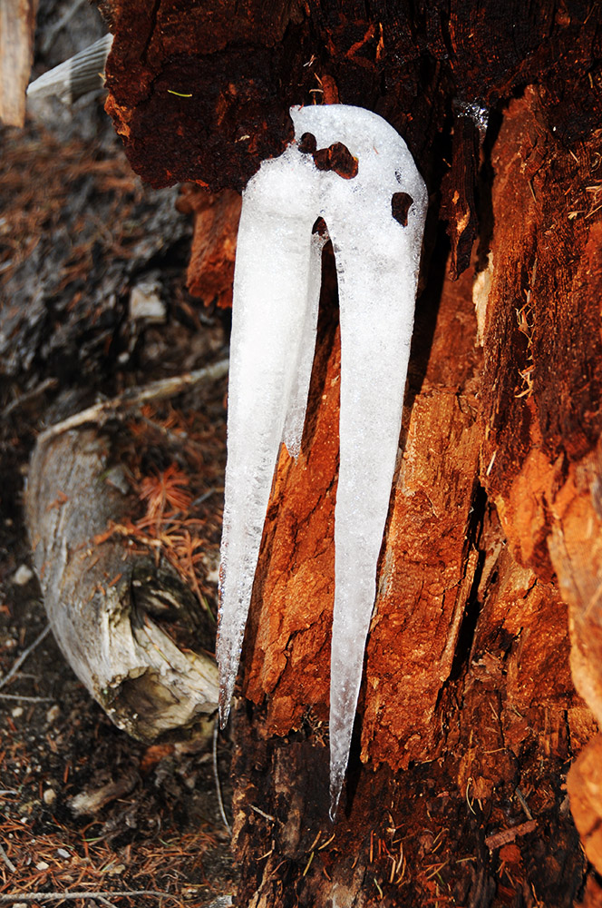 Ice Mustache Idaho Sawtooth Wilderness Ice Mustache