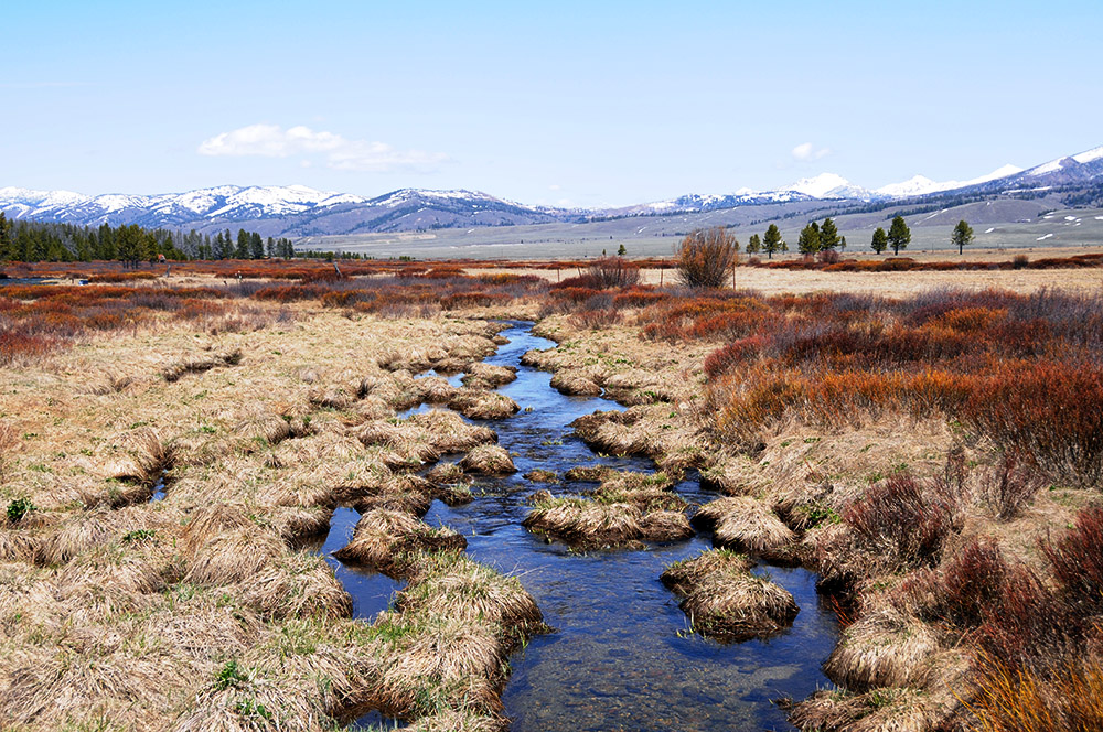 Meadows Idaho Sawtooth Wilderness Meadows